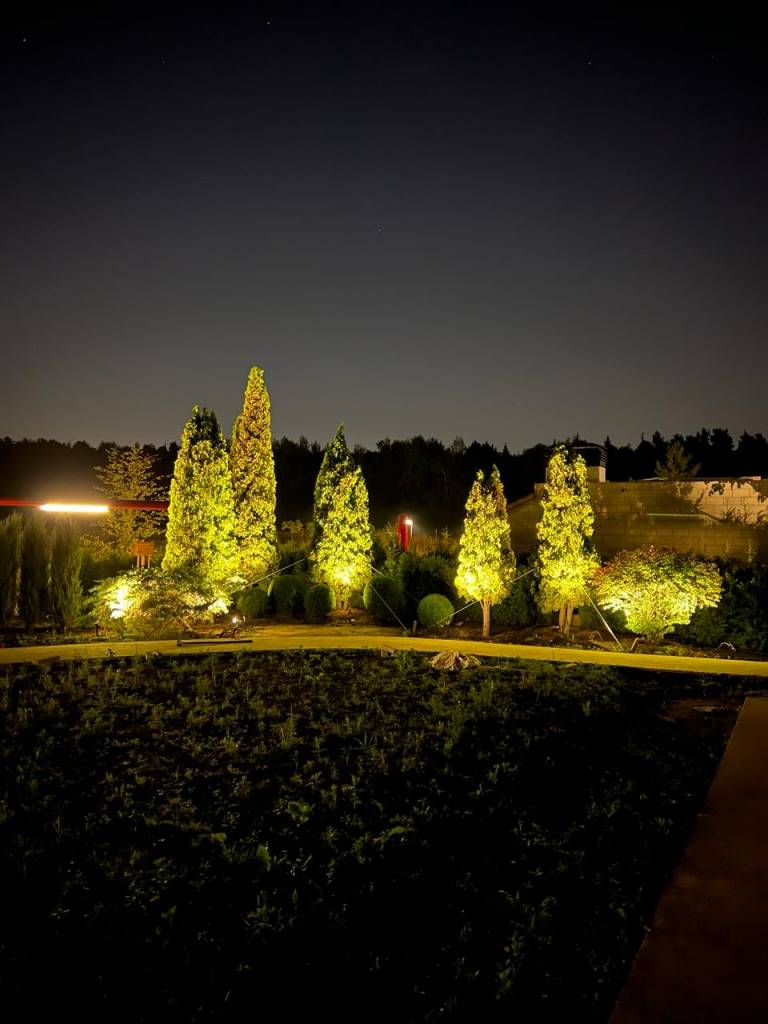 WhatsApp-Image-2025_03_24-at-06.40.50.jpg WhatsApp-Image-2025_03_24-at-06.40.50.jpg